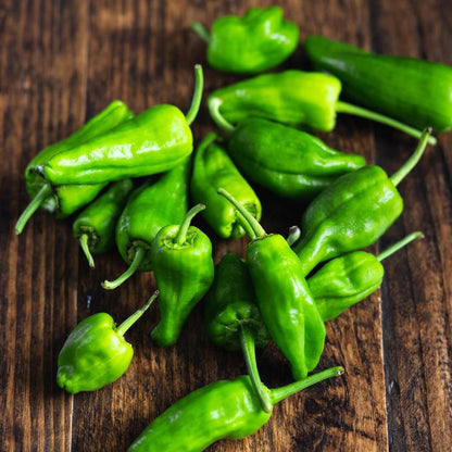 Padron Pepper Seeds for Planting – Heirloom Non-GMO Garden Seeds