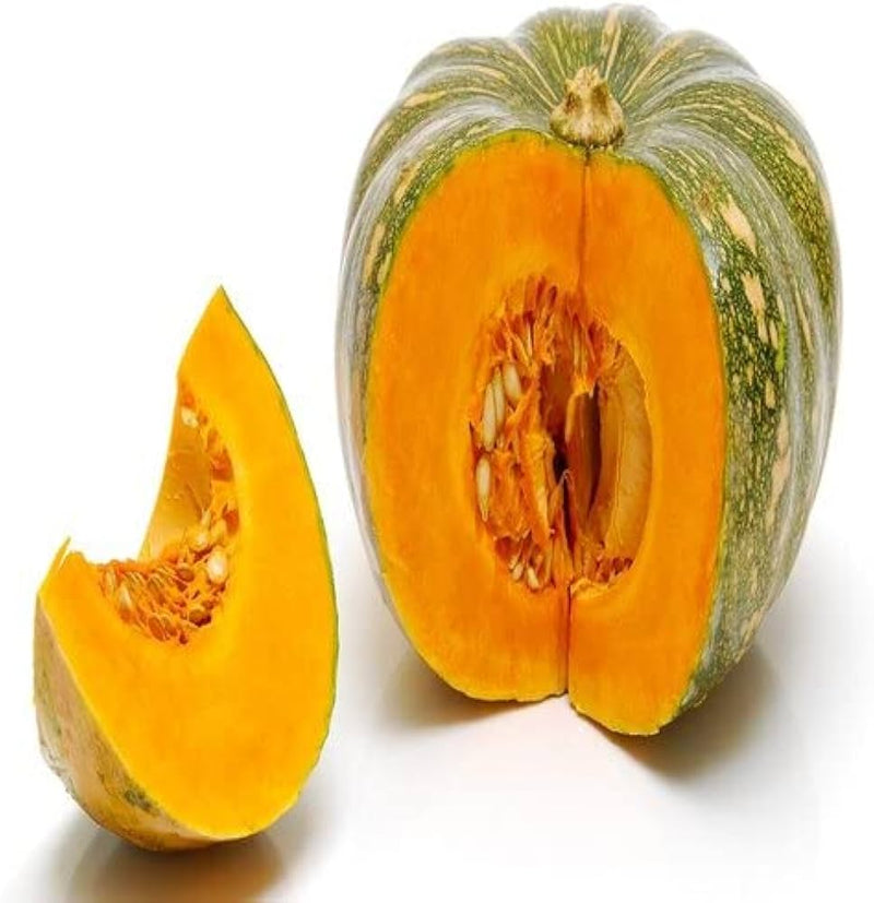 Zapallo Plomo Pumpkin Vegetable Seeds for Planting – Heirloom Non-GMO Garden Seeds