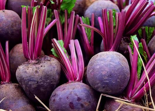 Purple beetroot vegetable seeds for planting with deep purple beet roots