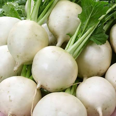 White Rutabaga Seeds for Planting – Heirloom Garden Vegetable Seeds