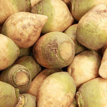 Yellow Rutabaga Seeds for Planting – Heirloom Non-GMO Garden Seeds