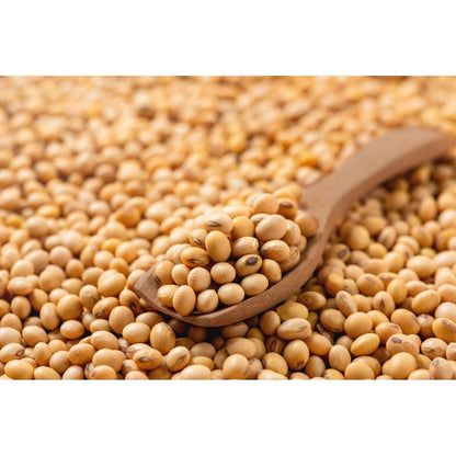 Soybean Seeds for Planting – Heirloom Non-GMO Garden Seeds