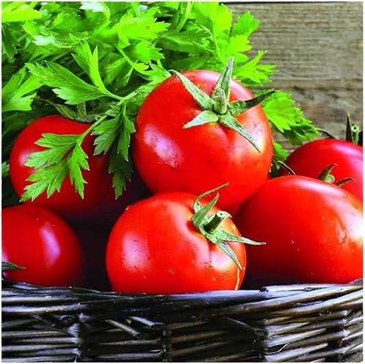 classic tomato seeds