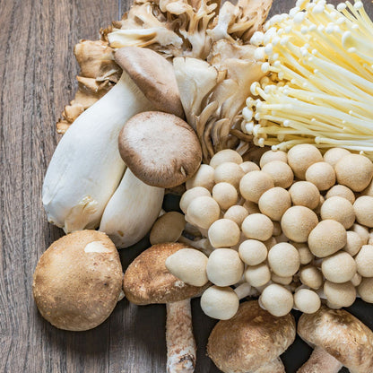 Mixed Mushroom Seeds for Planting – Heirloom Non-GMO Garden Seeds
