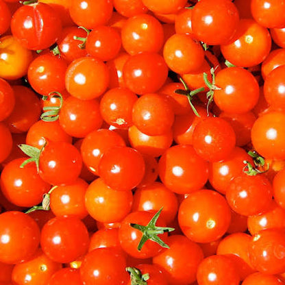Honeycomb Cherry Tomato Seeds for Planting producing sweet golden-orange cherry tomatoes in abundant clusters for home vegetable gardens