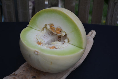 Honeydew Melon Fruit Seeds for Planting – Heirloom Non-GMO Garden Seeds