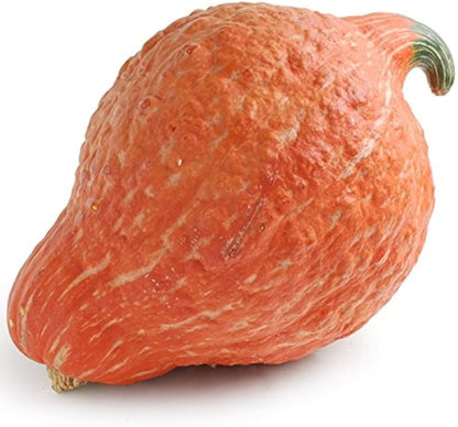 Golden Hubbard Winter Squash Seeds