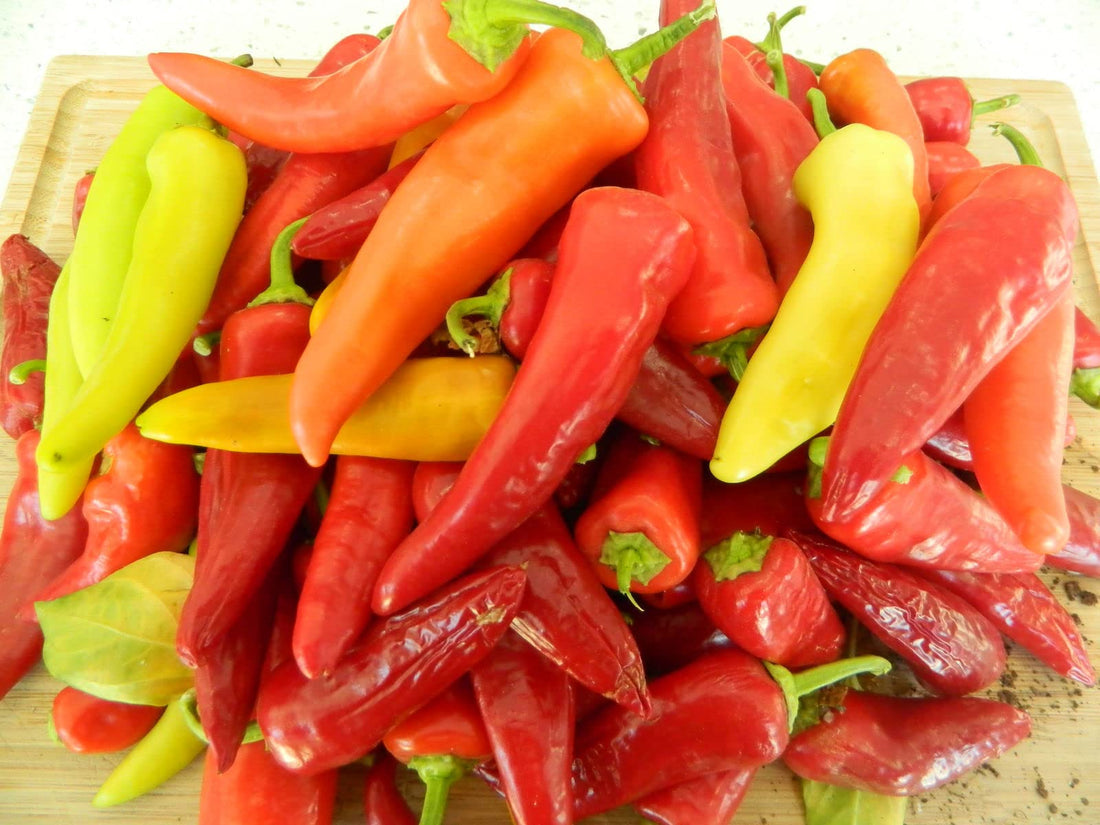 Hungarian Pepper Seeds