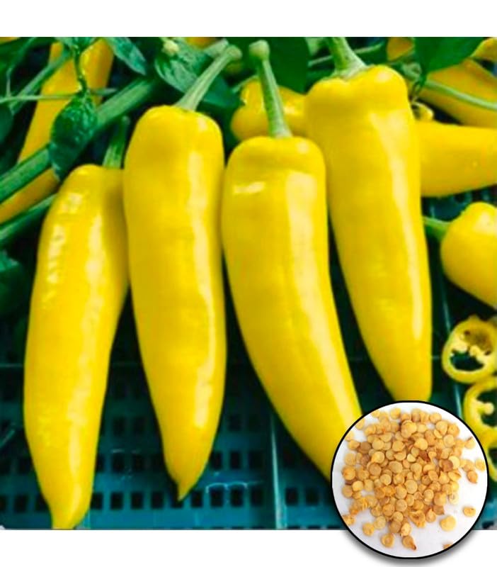 Hungarian Yellow Wax Pepper Seeds
