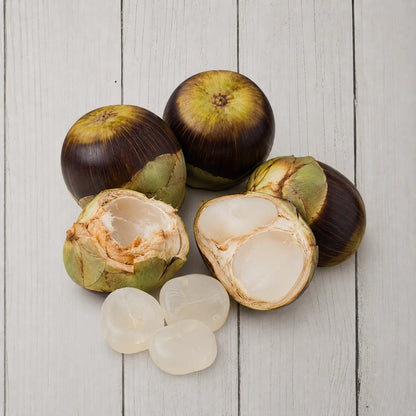 Ice Apple Seeds – Borassus flabellifer Palmyra Palm seeds for planting