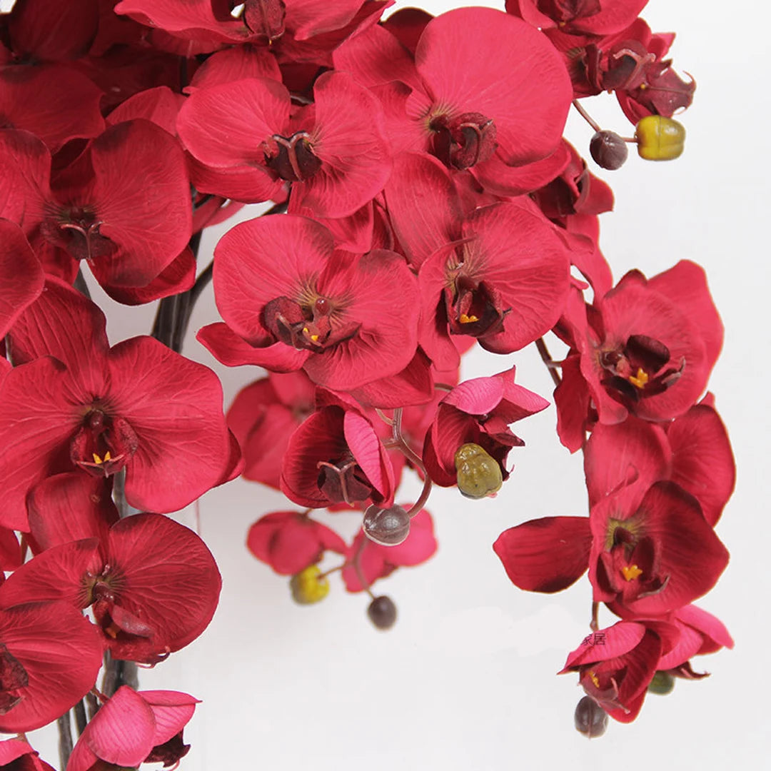 Red Butterfly flower seeds