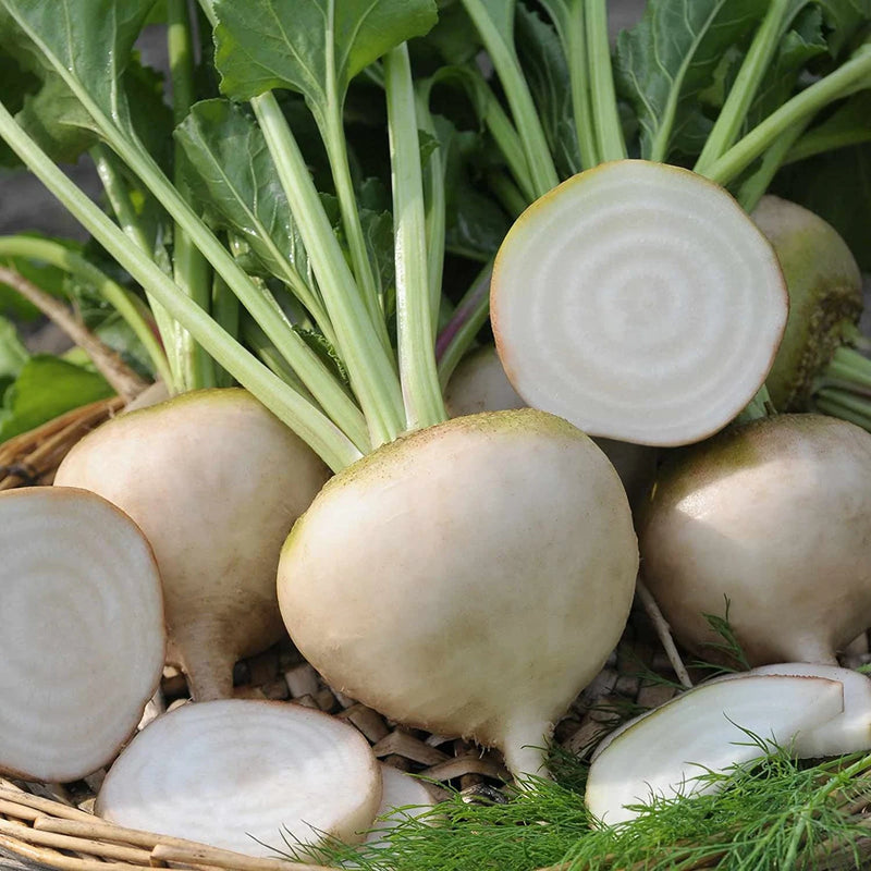 White Beet Seeds for Planting – Heirloom Garden Seeds