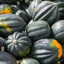 Table King Acorn Squash Seeds