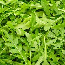 Arugula Seeds