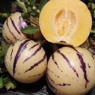 Pepino Dulce Melon Fruit Seeds for Planting – Heirloom Non-GMO Garden Seeds