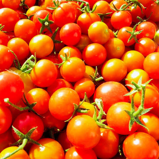 Honeycomb Cherry Tomato Seeds for Planting producing sweet golden-orange cherry tomatoes in abundant clusters for home vegetable gardens