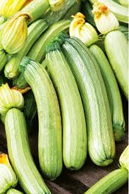 Bianco di Trieste Zucchini Seeds