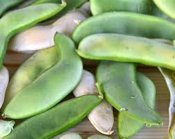 Lima Bean Seeds for Planting – Heirloom Garden Bean Seeds