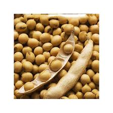 Bushel Gourd Seeds