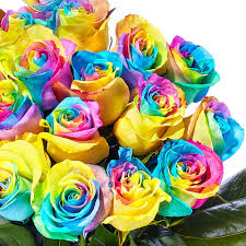 Multicolor Rose flower seeds