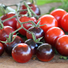 Blueberry Tomato Seeds for Planting – Heirloom Non-GMO Garden Seeds