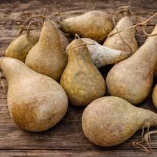 Kettle Gourd Seeds