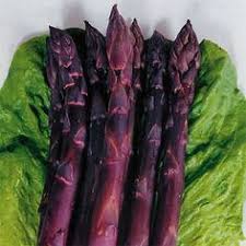 Purple Asparagus Seeds for Planting – Heirloom Garden Seeds