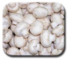 Mushroom Spores