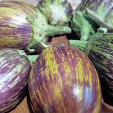 Udumalpet Eggplant Seeds