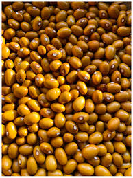 Swedish Brown Bean Seeds for Planting – Heirloom Dry Bean Seeds