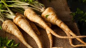 Horseradish Seeds for Planting – Heirloom Garden Root Seeds