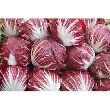 Radicchio Seeds for Planting – Heirloom Italian Garden Seeds