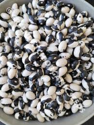 Black & White Orka Bean Seeds for Planting – Heirloom Garden Seeds
