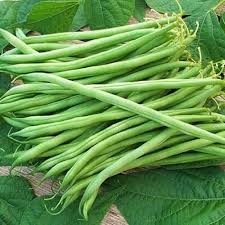 White Bean Seeds