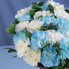 White Blue flower seeds