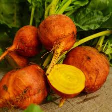Orange Beet Seeds for Planting – Heirloom Garden Seeds