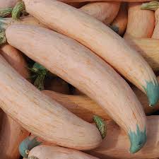 Georgia Candy Roaster Squash Seeds
