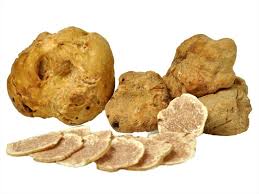 Truffle Mushroom Spores for Growing – Gourmet Mushroom Culture