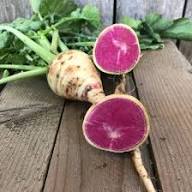 Watermelon Radish Seeds for Planting – Heirloom Garden Seeds