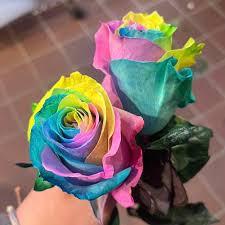 Multi Color flower seeds