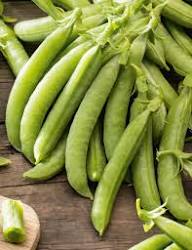 Sugar Ann Snap Pea Seeds for Planting – Heirloom Garden Pea Seeds
