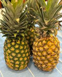 Yellow Pineapple Fruit Seeds for Planting – Heirloom Non-GMO Garden Seeds