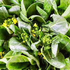 Yu Choy Seeds
