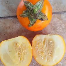 Naranjilla Fruit Seeds for Planting – Heirloom Non-GMO Garden Seeds