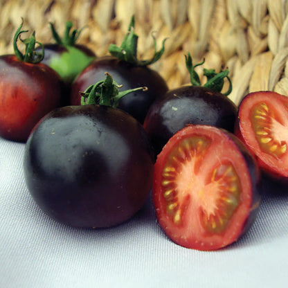 Indigo Rose Tomato Seeds