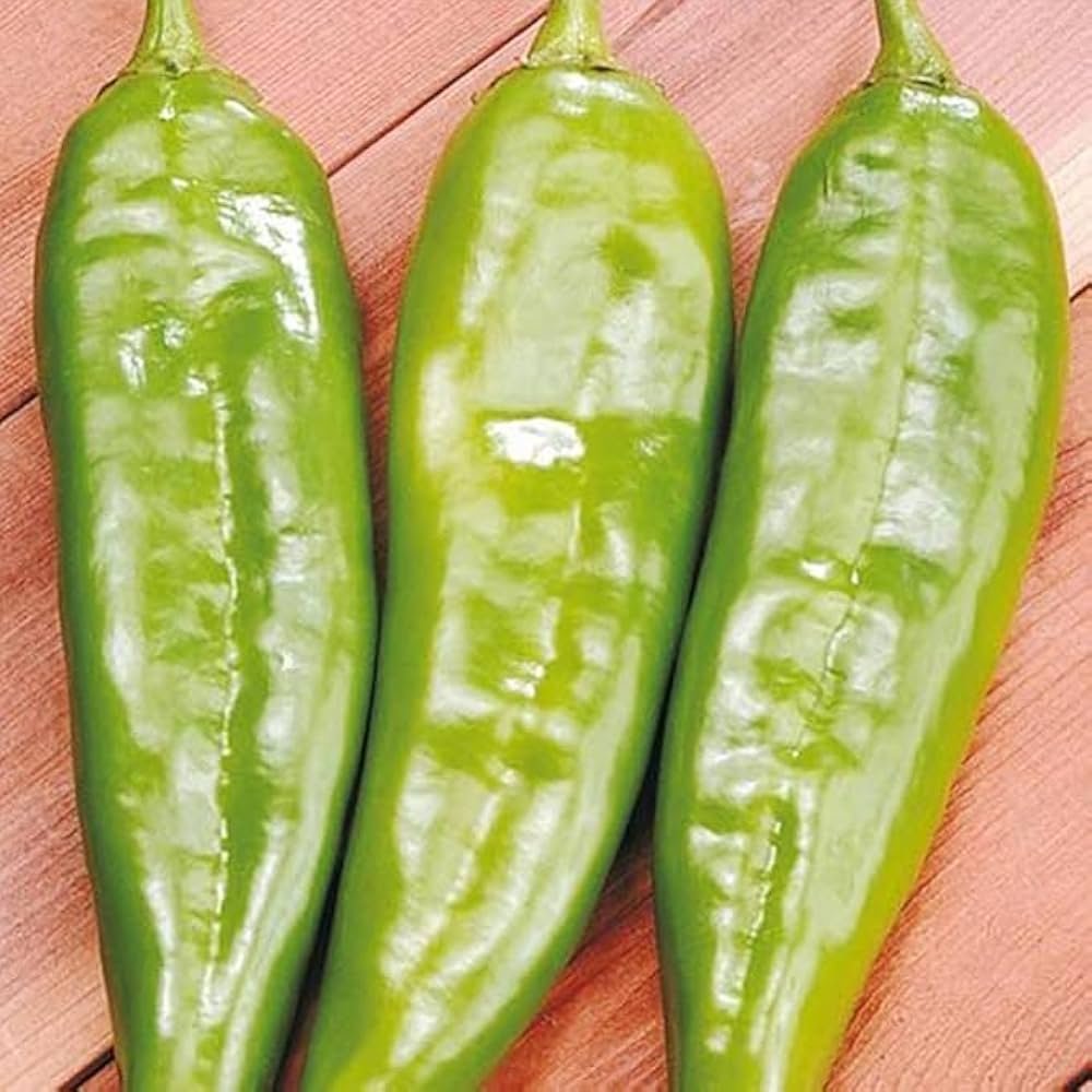 Italian Sweet Pepper Seeds