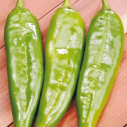 Italian Sweet Pepper Seeds