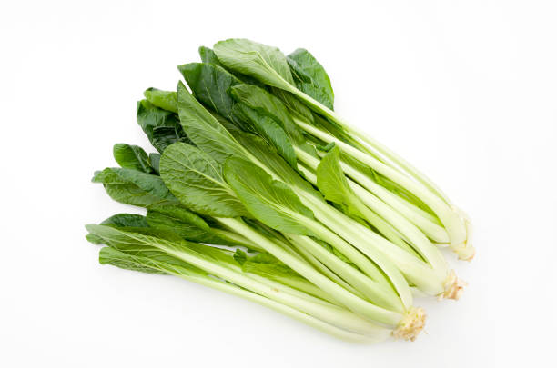 Komatsuna vegetable seeds for planting with fresh green Japanese mustard leaves