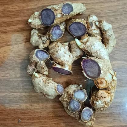 Black ginger seeds for planting with Kaempferia parviflora foliage and purple flowers