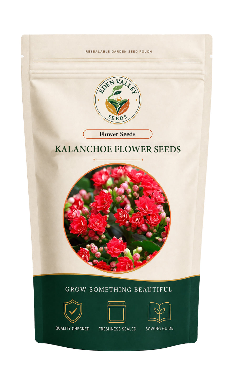 Kalanchoe Flower Seeds for home gardens